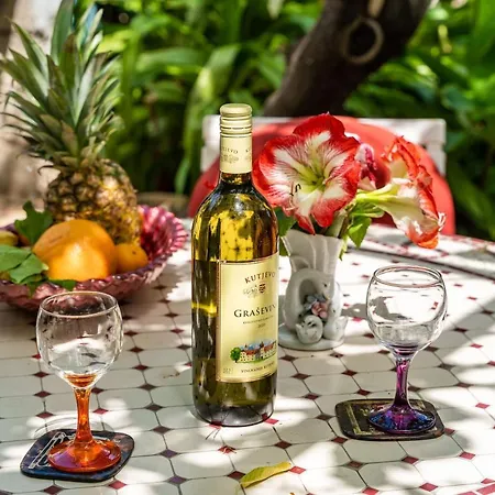 アパート Zarac ドゥブロブニク